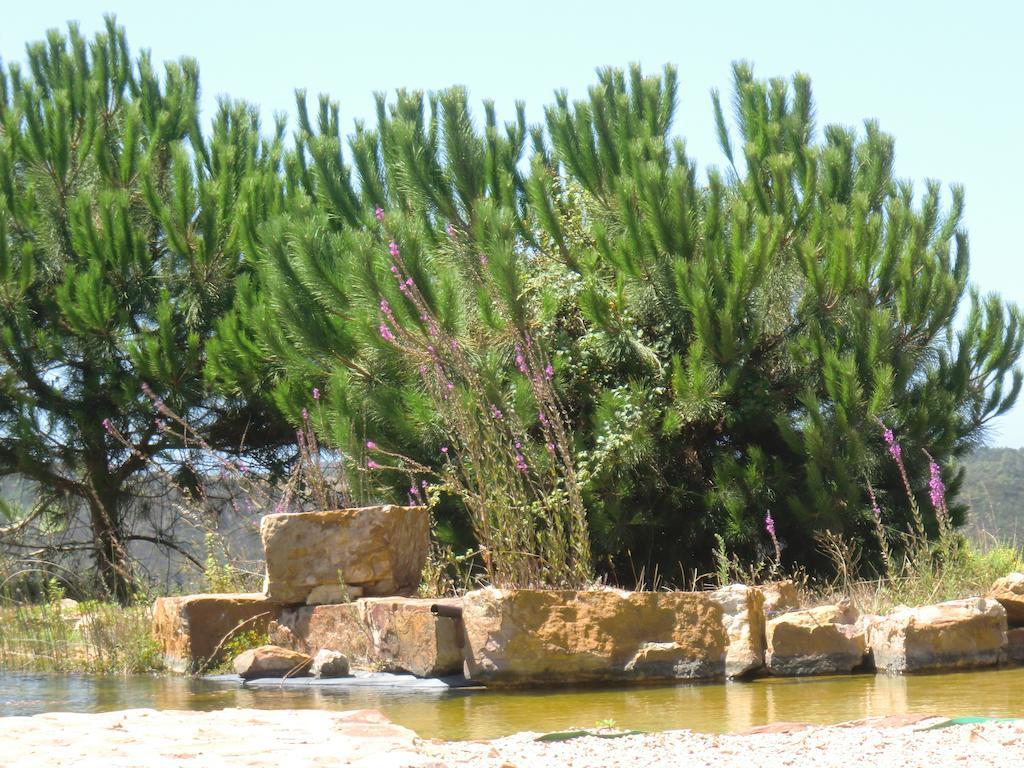 Montes De Baixo Guest House Odeceixe Exterior photo